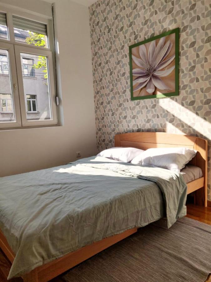 Lux Center Of Belgrade 2 Bedrooms, Sleeps 6 - Free Parking Экстерьер фото